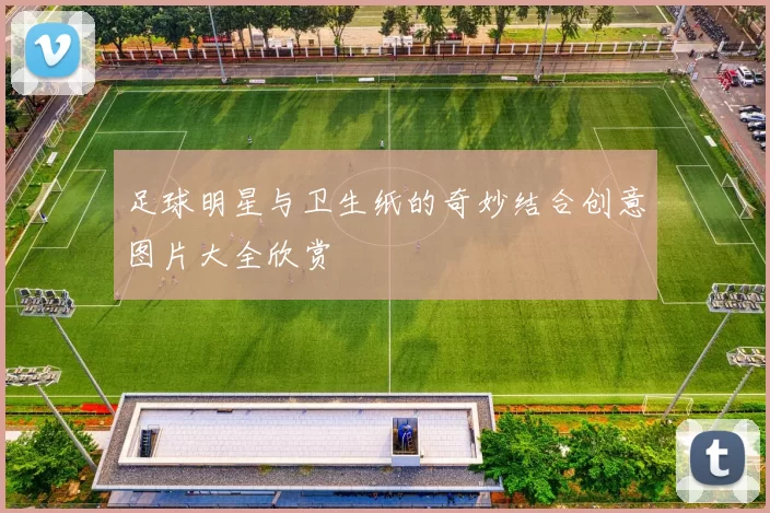足球明星与卫生纸的奇妙结合创意图片大全欣赏