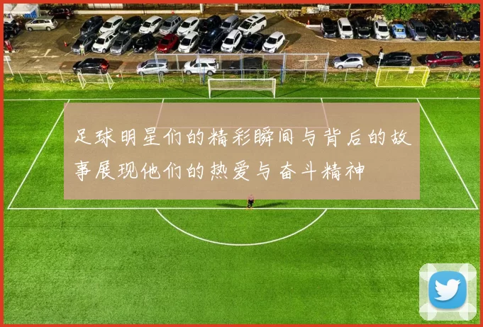 足球明星们的精彩瞬间与背后的故事展现他们的热爱与奋斗精神