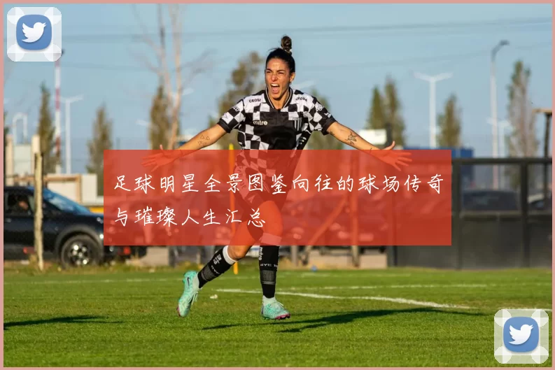 足球明星全景图鉴向往的球场传奇与璀璨人生汇总