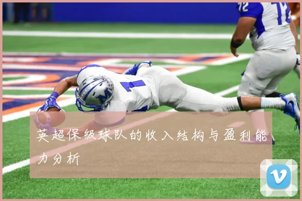 英超保级球队的收入结构与盈利能力分析