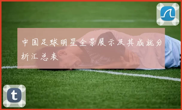 中国足球明星全景展示及其成就分析汇总表