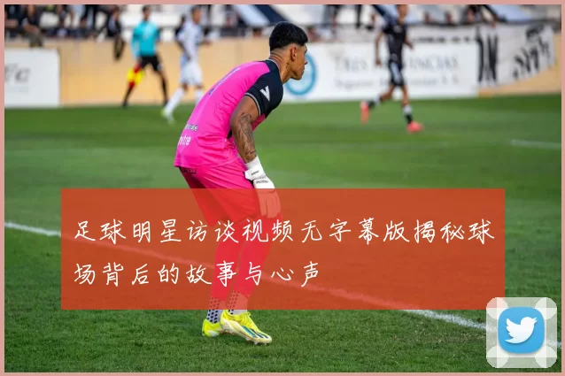 足球明星访谈视频无字幕版揭秘球场背后的故事与心声
