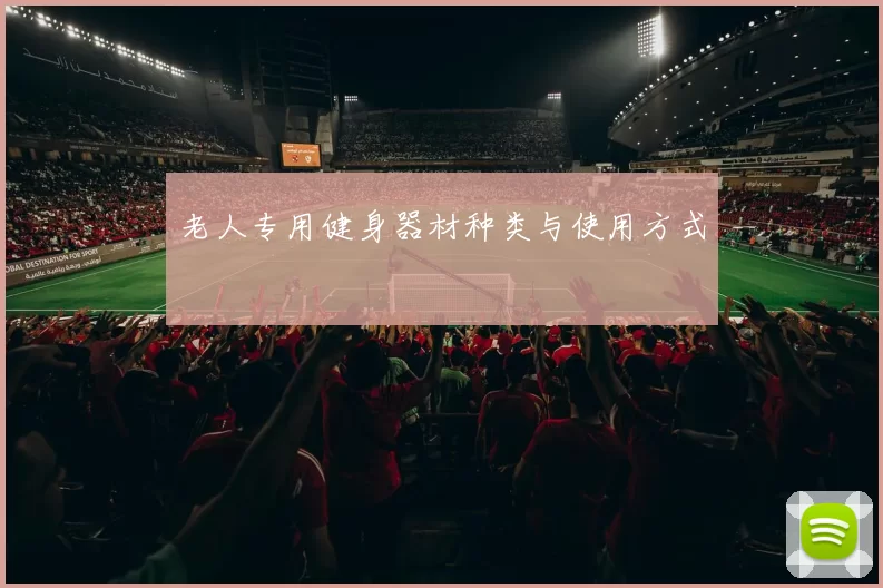 老人专用健身器材种类与使用方式