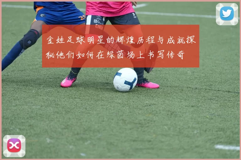 金姓足球明星的辉煌历程与成就探秘他们如何在绿茵场上书写传奇