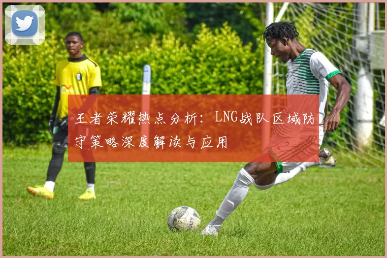 王者荣耀热点分析：LNG战队区域防守策略深度解读与应用