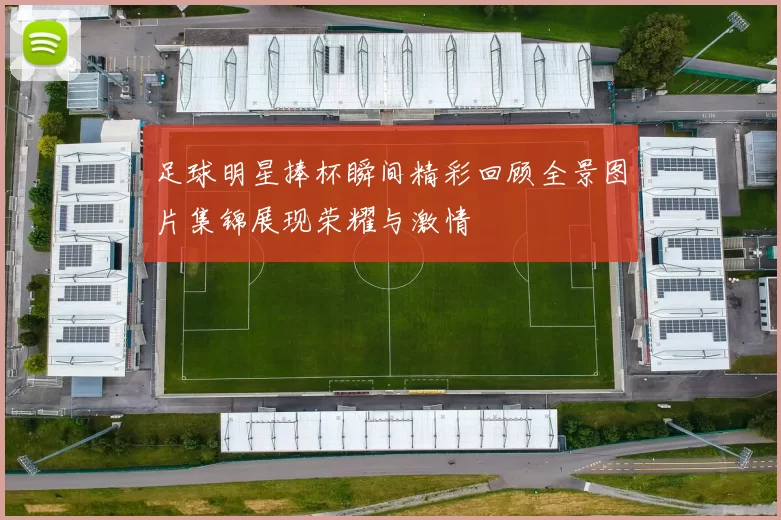 足球明星捧杯瞬间精彩回顾全景图片集锦展现荣耀与激情